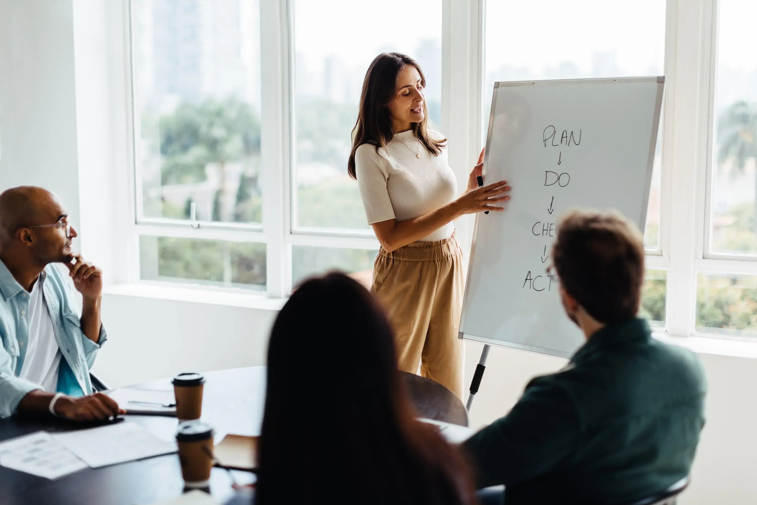 consultant_presenting_solution